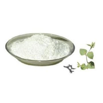 Polygonum Cuspidatum Resveratrol 50% Min. Con buena calidad